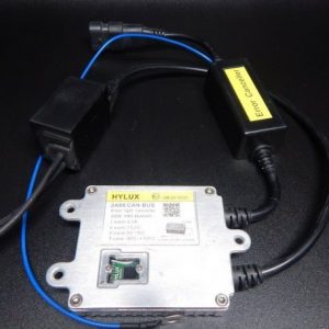 BALLAST EXTREME CAN BEAR